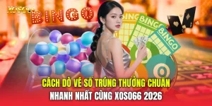 Cách Dò Vé Số Trúng Thưởng Chuẩn Nhanh Nhất Cùng Xoso66 2026